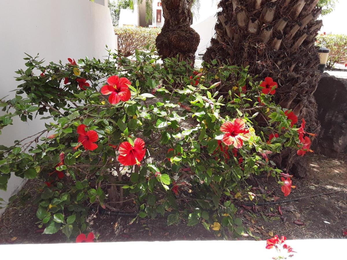 Le Parisien Apartment Costa Teguise Bagian luar foto